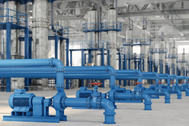 Best Sewer Line Repair  in Naples Manor, FL